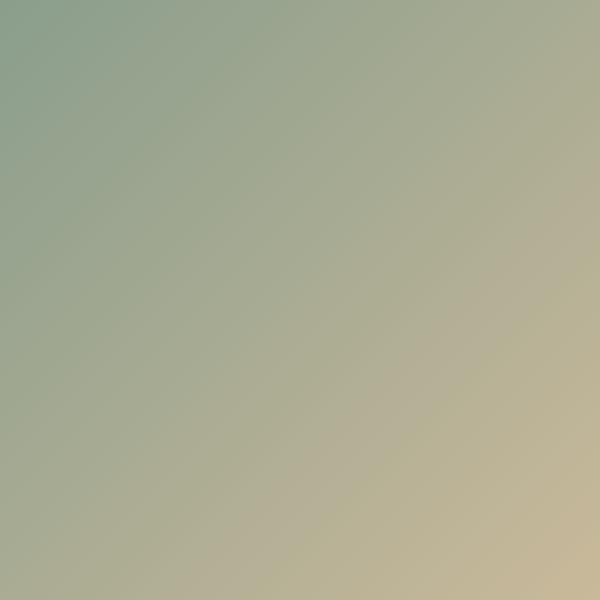 Post Instagram Vip Estetic